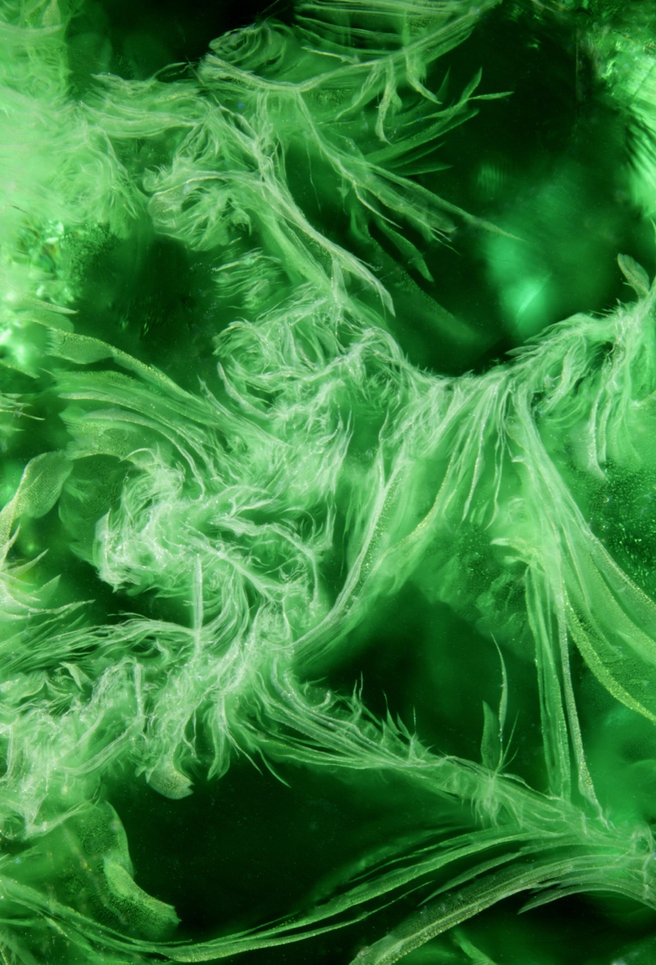 Green Nebula? Toxic Nebula?